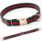 Premium Dog Collar, Cute Dog Collars Luxury Style, Durable Pet Collars with Metal Buckle Safety for Puppy Small Dogs