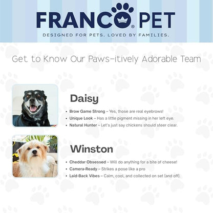 Franco Pet Superman DC Comics Super Soft Cozy Waterproof Sherpa-Backed Blanket Throw for Medium Dogs, Couch/Bed/Car, 40x50 (Officially Licensed Product)