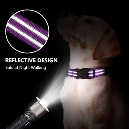 Martingale Dog Collar, Adjustable Nylon Reflective Collar with Quick Release Buckle (Real Purple, Small)