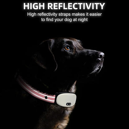 Collar Replacement Strap, Reflective Replacement Nylon Collar Strap Dog GPS Training Bark Receiver Collars, Durable Adjustable E Collar Straps for Small Medium Large Dogs, Pink