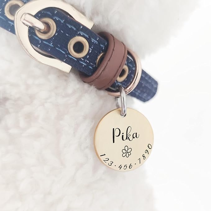 Cats Dogs ID Tags Personalized Lovely Symbols Pets Collar Name Accessories Simple Custom Engraved Supplies for Small Four Legged Child Necklace Chain Anti-Lost Industrial Steel Charm
