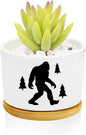 Window Garden Bigfoot Planter Pots,Bigfoot Gifts for Women/Men/Housewarming/Wedding/Festival Birthday Gifts Planter Pots,Outdoors/Indoors,Window Decor,Garden Decor,Yard Decor,Home Decor,Office