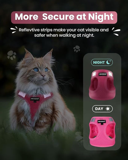 FAYOGOO Cat Harness, Cat Leash and Harness Set for Walking Escape Proof, Harness for Small Cats/Small Dogs, Large Kitten/Puppy Harness and Leash, Harness for Cats S-XXL(Pink, XX-Large)