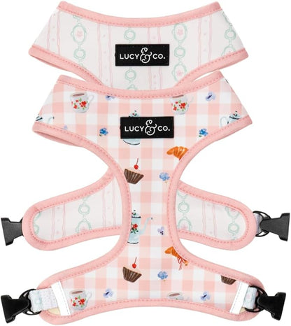 Lucy & Co. Sipping Slowly Reversible Dog Harness, Adjustable Comfort Fit with Dual Leash Attachments, Small