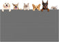 XXXXL Largest Pet Food Mat, 51.2"x25.6"(130cmx65cm) Silicone Dog Mats for Food and Water, Nonslip Pet Feeding Mats for Floors,Dog Cat Bowl Mat with Raised Edges, Dark Gray