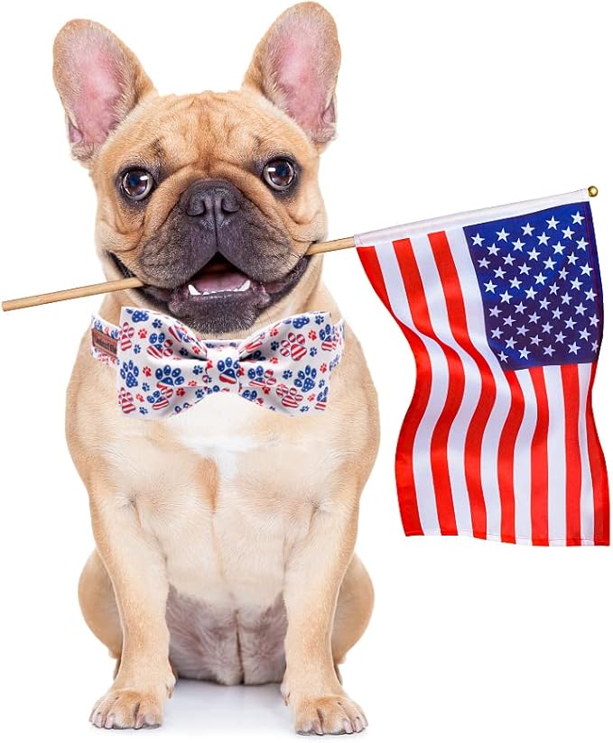 Lionheart American Flag Dog Collar with Bow - Adjustable for Medium Dogs