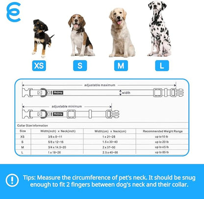 Blueberry Pet Essentials Reflective Dog Collar for Medium Dogs | Adjustable Nylon Collar in Sky Blue | Classic Solid Color Matching Medium Dog Collar