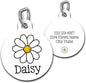 Daisy Pet ID Tag for Cats and Dogs