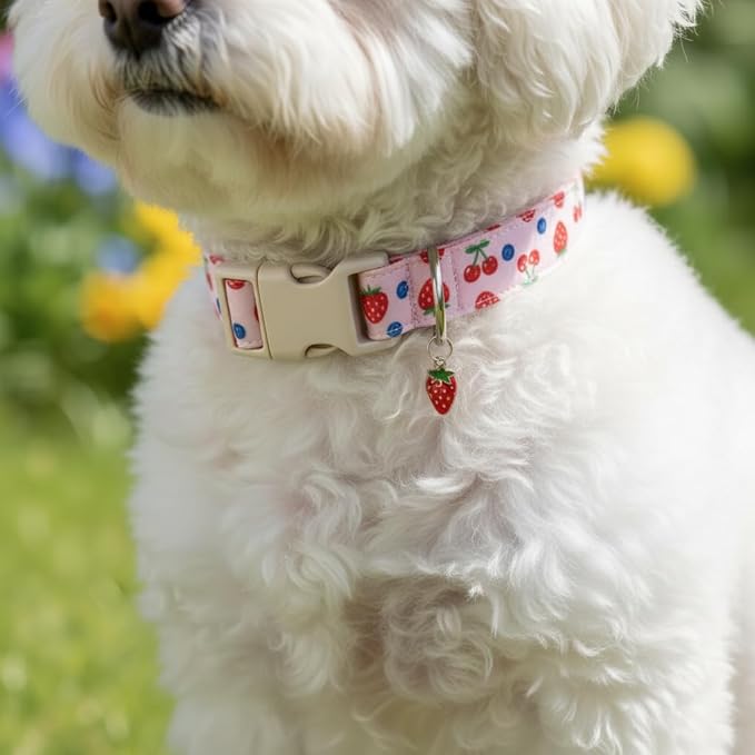 Pink Dog Collar, Girl Dog Collar for Small Dogs, Spring Summer Puppy Collar with Cute Strawberry, Cherry and Blueberry Print, Soft Adjustable Collars for Girls Boys Dogs, S