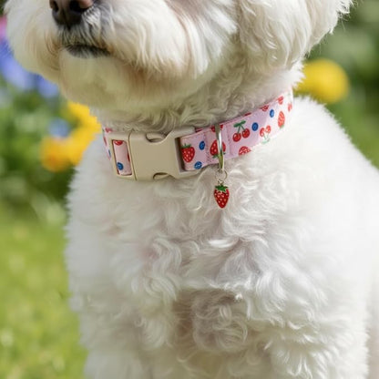 Pink Dog Collar, Girl Dog Collar for Small Dogs, Spring Summer Puppy Collar with Cute Strawberry, Cherry and Blueberry Print, Soft Adjustable Collars for Girls Boys Dogs, S