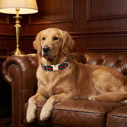 Premium Dog Collar, Cute Dog Collars Luxury Style, Durable Pet Collars with Metal Buckle Safety for Big Dogs