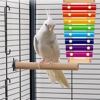 Bird Xylophone with Mirror & Bell Accessories - Musical Training Toy for Conure, Budgie, Cockatiel, Cockatoo, Parakeet, Finch (Bird Xylophone with Mirror)