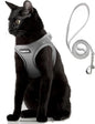 PetiFine Cat Harness and Leash Set,Escape Proof Kitten Harness Reflective,Soft Lightweight Puppy Harness for Walking and Travelling(XXS, Grey)