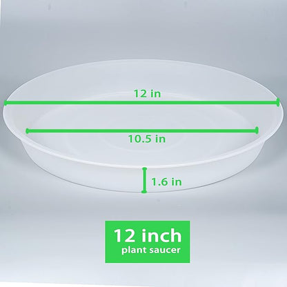 6 Pack of 12 inch Plant Saucer Clear, Heavy Duty Plastic Plant Saucer 12 inch Round, Durable Plant Tray for Pots, Plant Saucers for Indoors, Plant Trays for Planter 10"/11"/12" (12", Clear)