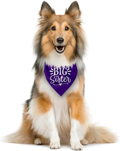 Big Sister Dog Bandana, Purple Dog Bandana, Pet Scarf Accessories, Pet Triangle Scarf, Dogs Bandanas for Small Medium Dogs (M)