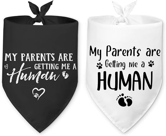 2 Packs My Parents are Getting Me a Human Gender Reveal Dog Bandana Pregnancy Announcement Pet Dog Triangle Scarf Accessories Baby Announcement Gift for Small Medium Large Dogs Cats
