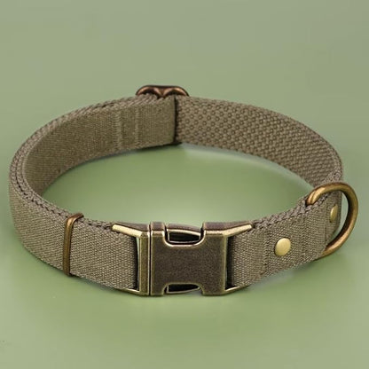 PET ARTIST Dog Collars for Medium Dogs, Soft Padded Premium Nylon Dog Collar with Quick Release Metal Buckle, Durable & Adjustable Pet Collars for Boy Gifts, Green, M (Fit 13-20")