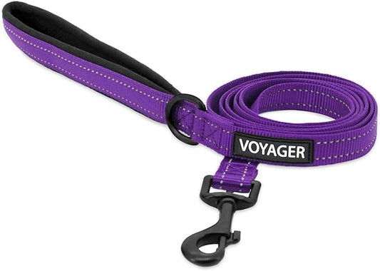 Best Pet Supplies Voyager Reflective Dog Leash or Collar with Neoprene Handle, for Small, Medium, and Large Breed Puppies, Cute and Heavy Duty for Walking, Running and Training - Purple (Leash), L