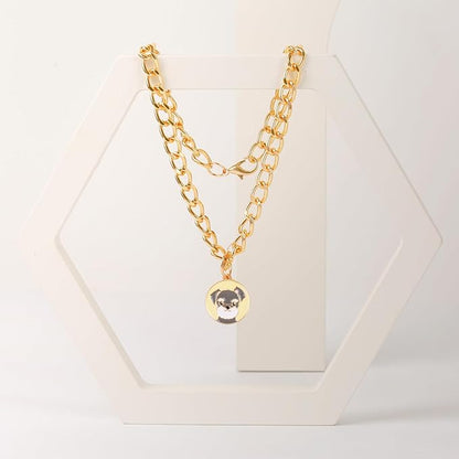 HOWWFALY Dog Collar and Cat Chain Necklace Stainless Steel Adjustable 18K Gold Heart-Shaped Necklace for Small Pets Cats Kitten Puppy (Gold, 14 inch)