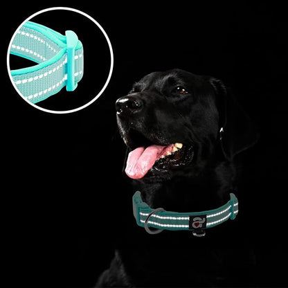 azuza Reflective Dog Collar,Soft Neoprene Padded Pet Collar with ID Tag Ring,Adjustable for Medium Dogs,Teal,M