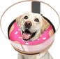 Inflatable Dog Cone with Transparent Shield, Protective Dog Donut Collar After Surgery to Stop Licking, Soft Donut Cone for Extra Large Pets, Adjustable Recovery Collar with Buckle Visibility