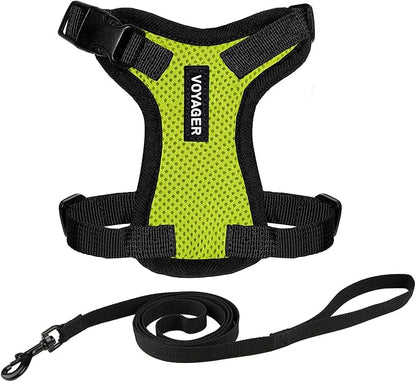 Voyager Escape-Proof Step-in Lock Cat Harness & 5ft Neoprene-Handle Leash Set All-Weather Mesh with Reflective Stitching for Small to Large Cats by Best Pet Supplies, Lime Green/Black Trim, XS