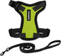 Voyager Escape-Proof Step-in Lock Cat Harness & 5ft Neoprene-Handle Leash Set All-Weather Mesh with Reflective Stitching for Small to Large Cats by Best Pet Supplies, Lime Green/Black Trim, XS