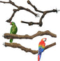 Allazone 4-Piece Bird Perch - Natural Grapevine Stick Swing Chewing Toys for Parrot Cages, Cockatiels, Parakeets, Finches