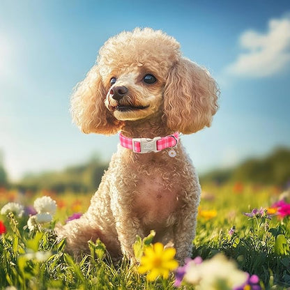 Girl Dog Collar for Small Dogs - Cute Pink Plaid Puppy Collar, Soft Adjustable Spring Summer Female Dog Collars with Quick Release Buckle S