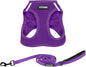 Best Pet Supplies Voyager Step-in Air All Weather Mesh Harness and Reflective Dog 5 ft Leash Combo with Neoprene Handle, for Small, Medium and Large Breed Puppies - Harness Leash Set (Purple), XXS