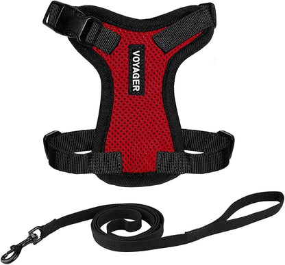 Voyager Escape-Proof Step-in Lock Cat Harness & 5ft Neoprene-Handle Leash Set All-Weather Mesh with Reflective Stitching for Small to Large Cats by Best Pet Supplies, Red/Black Trim, XS