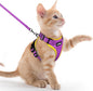 rabbitgoo Cat Harness and Leash for Walking, Escape Proof Soft Adjustable Vest Harnesses for Cats, Easy Control Breathable Reflective Strips Jacket, Purple&Yellow,XXS