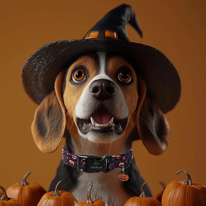 Halloween Dog Collar Spooky Fun Pumpkin Puppy Collar - Light Comfortable Adjustable Pet Collars for Small Medium Large Girl Boy Dogs XS