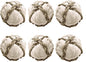 SunGrow Assorted Rabbit & Cat Chew Balls, Teething Activity Toy for Pocket Pets, Improves Dental Health, Environment Friendly, Stress Reliever (Corn Leaf, 6 Pcs)