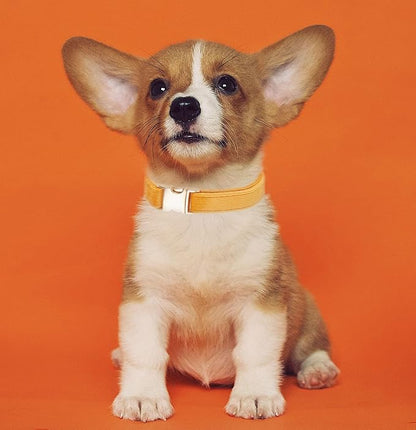 Soft Cotton Dog Collar with Metal Buckle Adjustable Heavy Duty Comfy Corduroy Collars for Small Medium Large Dogs,Orange,Small
