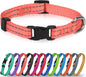 Joytale Small Dog Collar, Reflective and Adjustable Nylon Collar with Quick-Release Buckle, Lightweight No-Choke Design for Puppy and Extra Small Dogs, Pink, XS