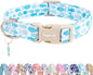 Faygarsle Fish Pattern Dog Collar, Adjustable with Buckle, Blue and White, Summer Design for Small Medium Large Dogs L