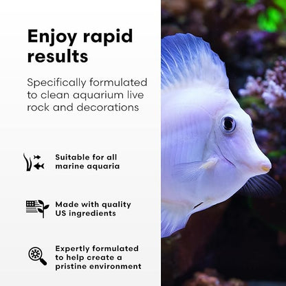 Brightwell Aquatics MicroBacter Clean - Microbial Culture & Enzyme Blend Fish Tank Cleaner - Cleans Live Rock Surfaces for Saltwater Fish Habitats - Aquarium Water Treatments, 5.28 GAL