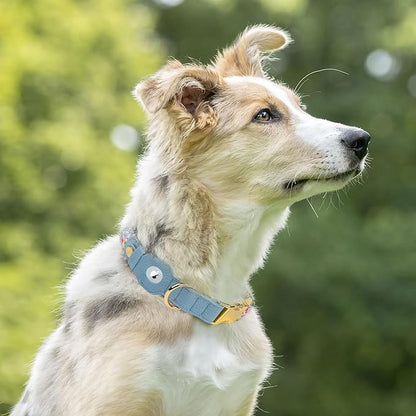 AirTag Dog Collar for Small Medium Large Breed - Adjustable Cute Pattern Dog Collar with Airtag Holder - Soft Leather Tracker GPS Apple Air Tag Pet Collars (X-Large, 20"-25" Neck Fit, Floral)