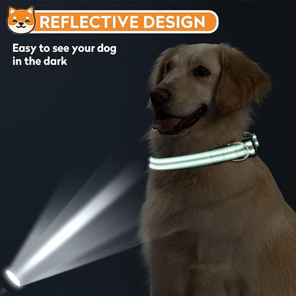 Reflective Dog Collar, Adjustable Soft Neoprene Padded Nylon Pet Collars with Buckle for Medium Dogs, Dark Green,M