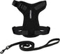 Voyager Escape-Proof Step-in Lock Cat Harness & 5ft Neoprene-Handle Leash Set All-Weather Mesh with Reflective Stitching for Small to Large Cats by Best Pet Supplies, Black, XXS