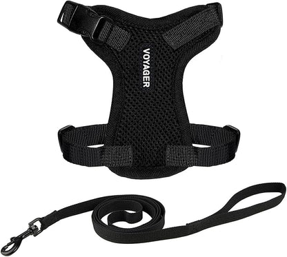 Voyager Escape-Proof Step-in Lock Cat Harness & 5ft Neoprene-Handle Leash Set All-Weather Mesh with Reflective Stitching for Small to Large Cats by Best Pet Supplies, Black, S