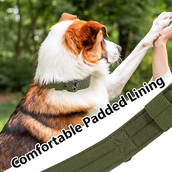 Tactical Dog Collar Military Adjustable Dog Collars Soft Nylon Training Collar with Patch Heavy Duty Metal Buckle Collars for Medium Large Dogs (Green, L)