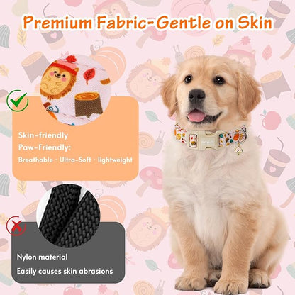 Fall Woodland Dog Collar, Playful Squirrel & Pumpkin Print on White Collar for Small Medium Large Dogs, Breathable, Adjustable & Comfortable Puppy Collar for Fall Walks & Pet Photos-M