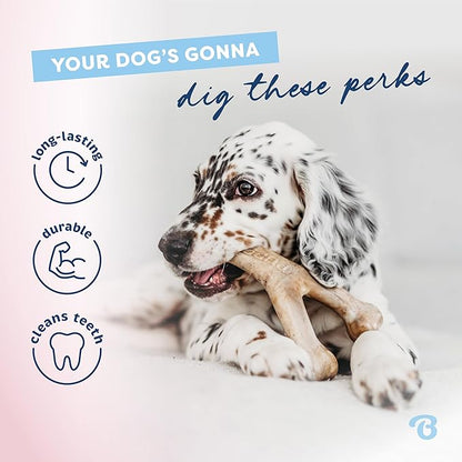 Benebone Puppy 4-Pack Dog Chew Toys, Made in USA, 30lbs and Under, for Modest Chewers