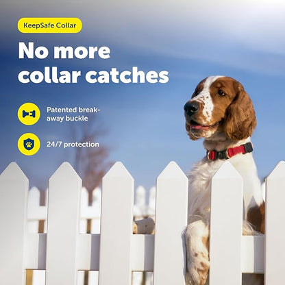 PetSafe KeepSafe Collar for Dogs - Protects Against Collar Accidents - Long Lasting - Durable - Adjustable - Breakaway - Outdoor-Safe - Large - 1 In. Wide - Red
