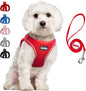 PetiFine Step in Small Dog Harness and Leash Set, Breathable All Weather Air Mesh Reflective Escape Proof, Step-in Vest Harnesses for Puppy(S, Red)