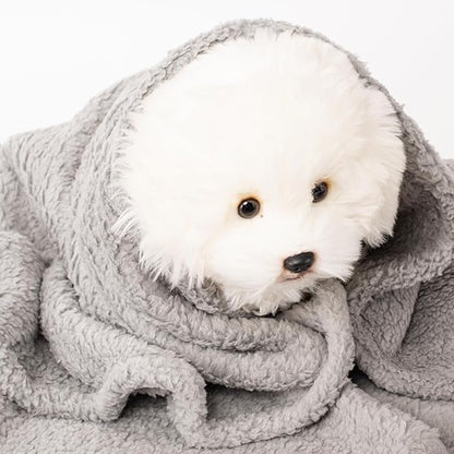 2 Blankets, Dog Cat Pet Blanket, Soft Warm Fleece, for Puppy, Small Dogs or Kitten, Cats, Plush Fuzzy Blanket for Bed, Sofa, Travel (60" x 40", 2/Pack, Beige+Light Gray)