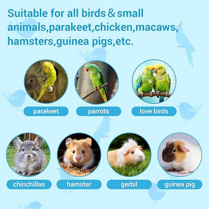 2 Pcs Parrot Feeder Chew Toy Balls, Bird Foraging Interactive Toys, Suitable for Small Animals and Small&Medium Birds,Parakeet,Parrots,Lovebirds,Macaws,Hamsters,Guinea Pigs
