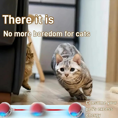 Interactive Cat Toys for Indoor Cats, Agility Move Cat Balls,Motion Activated Cat Balls, Cat Toys for Bored Indoor Cats(Grey)